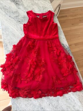 Red Floral Appliqué Velvet Bodice Girls' Party Dress